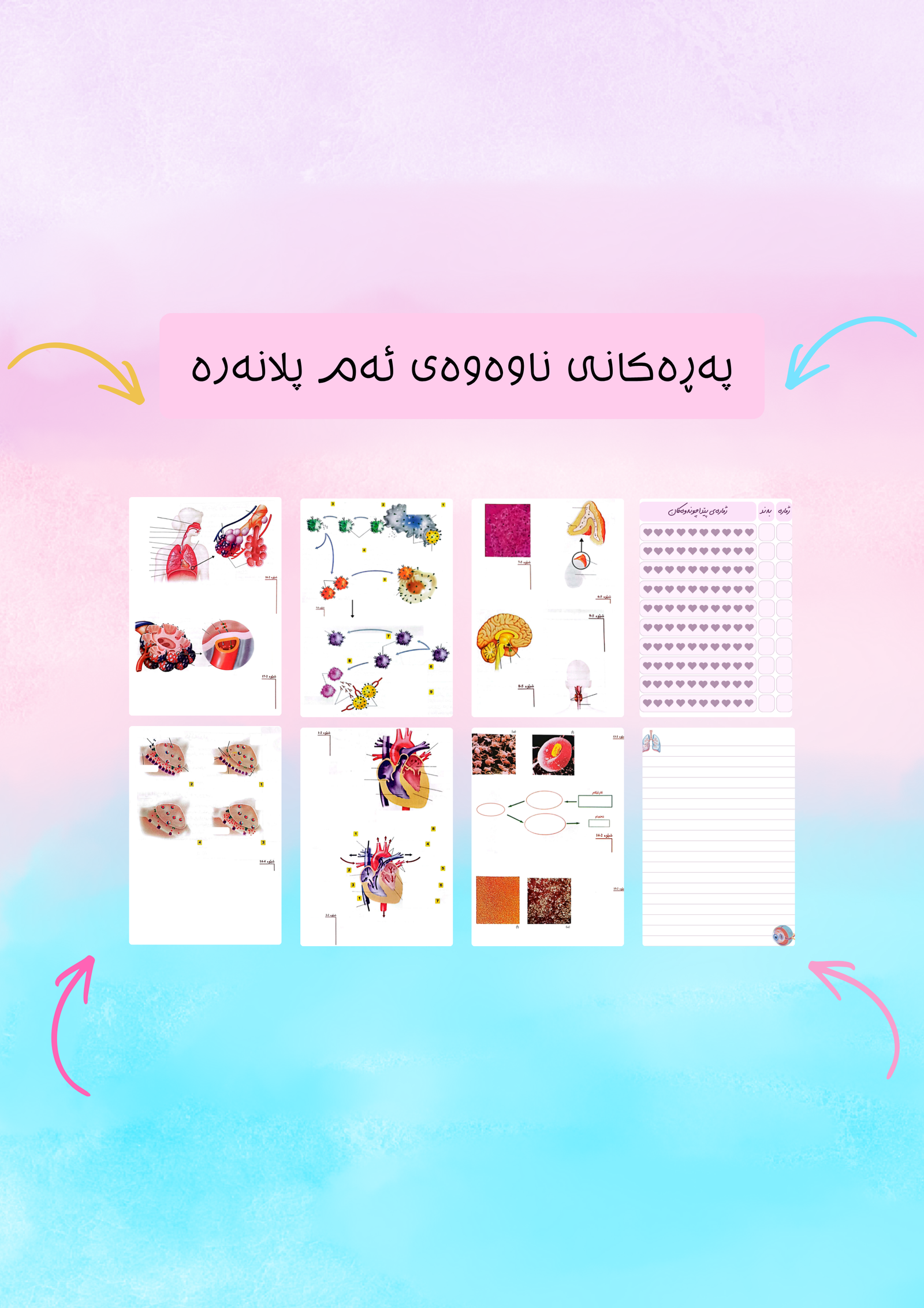 وێنەکانی زیندەزانی پۆلی ١٢
